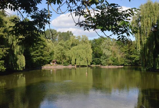 Városnéző sétán Losoncon – fák és ligetek között