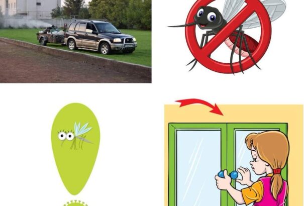 Szúnyoginvázió a Csallóközben – A szakember tanácsol