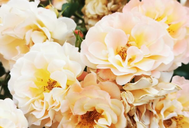 Hivatalosan is itt a nyár – Képek