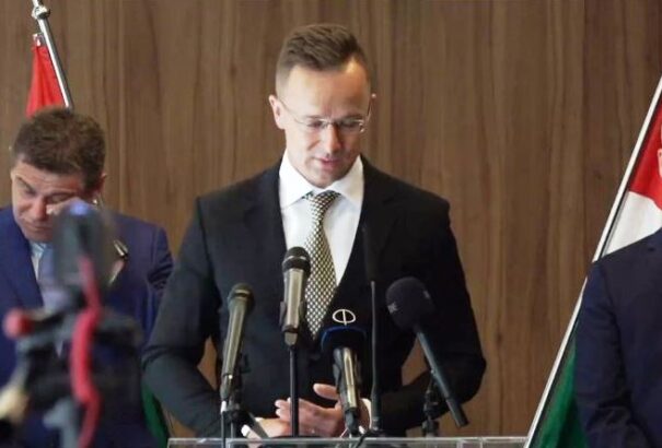 Király Zsolt: Így ültette fel Szijjártó a vegyespárti Solymost az etnikai hintába