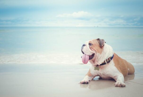 Időjárás-előrejelzés: a szokatlanul hideg tavasz után megérkezik a júniusi extrém forróság