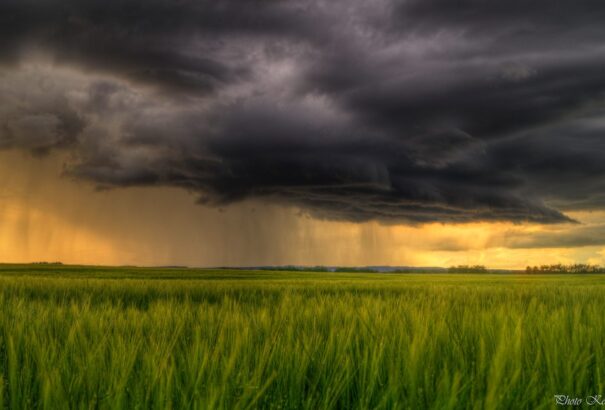 Szombat estétől jön a csapadék és a lehűlés