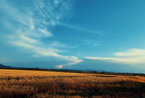 A nyár és a természet vonzásában az Érsekújvári járásban – Képriport