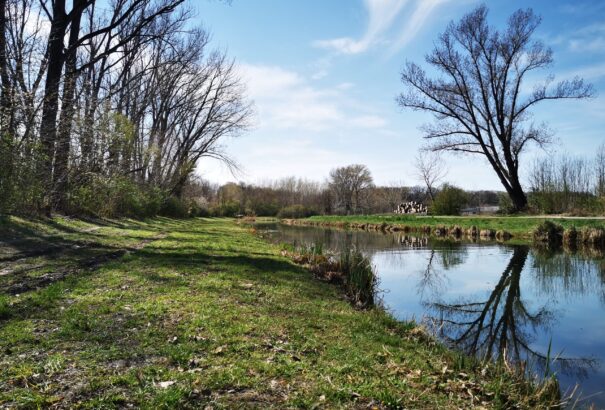 Töltődjünk fel testileg és lelkileg a természetben – Csallóközi barangolások (Képekkel)