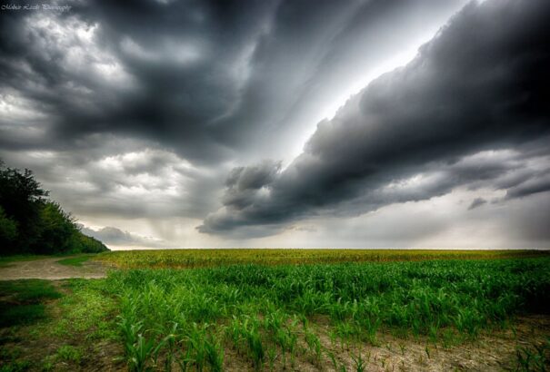 Borús, csapadékos lesz a szombat