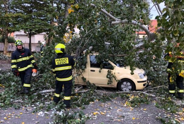Csehországi vihar: autóra zuhant egy fa, két ember életét vesztette