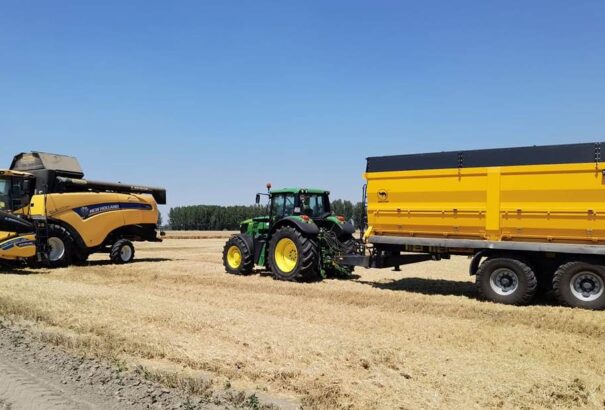 Idén később kezdődik az aratás. A gazdák alacsonyabb terméshozamra számítanak