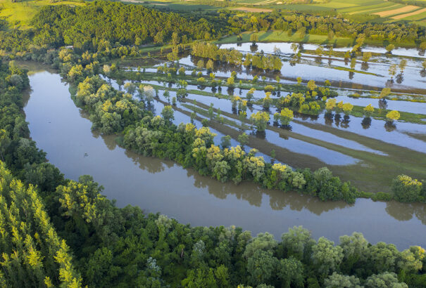 Képeken a Bodrogzuz és a Szigetköz csodálatos vízi világa