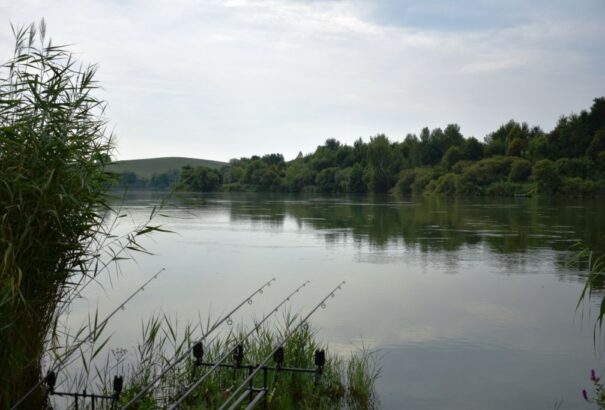 Mede Géza:  Egy „élménydús” horgászat Nagydarócon