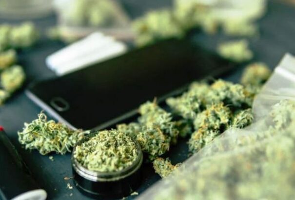 A Progresszív Szlovákia legalizálná a marihuánafogyasztást Szlovákiában. Ezrek írták már alá a petíciójukat