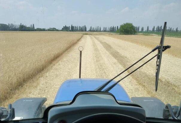 Hatalmas hőségtől szenved a természet. Komoly szárazsággal küzdenek a gazdák