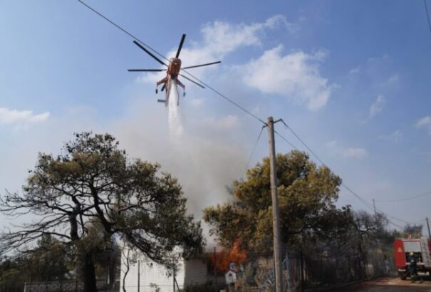 Negyedik napja égnek a fenyőerdők Athén közelében