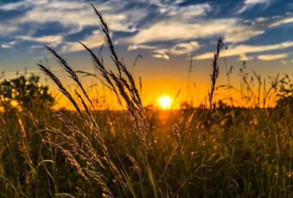 35 fokkal tetőzik a hőség