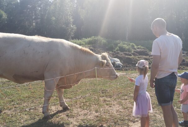 Nyílt tanyák napja Észtországban (Képgaléria)