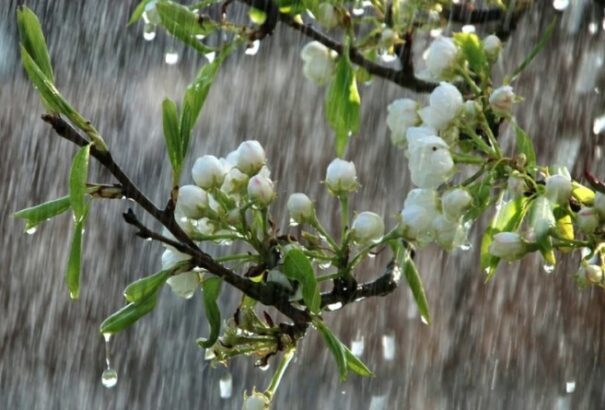 Felhős, esős idővel zárul a hét