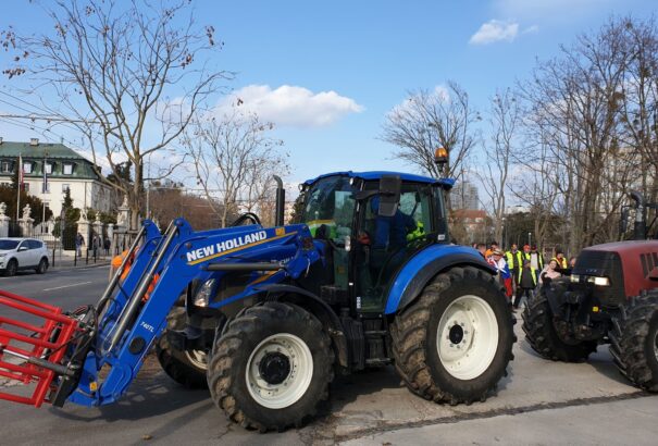 Németország termeli a legtöbb burgonyát az EU-ban. Szlovákia nagyon lemaradt