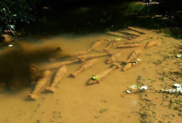 Világháborús lőszerek kerültek elő az alacsony vízállás miatt Veszprém megyében