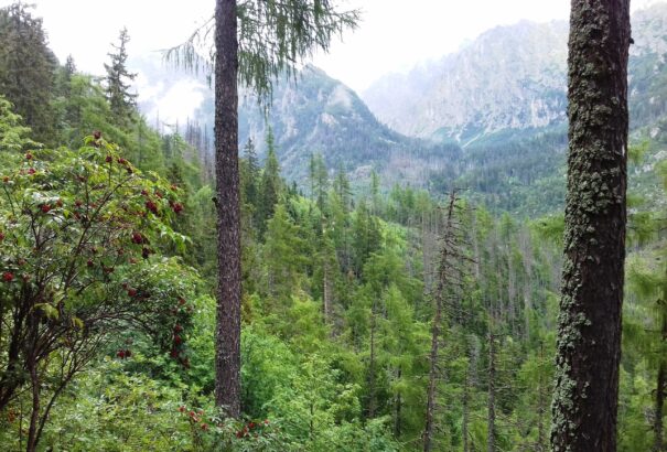 Őszi hangulatban a Magas-Tátra bércei között – Képes beszámoló