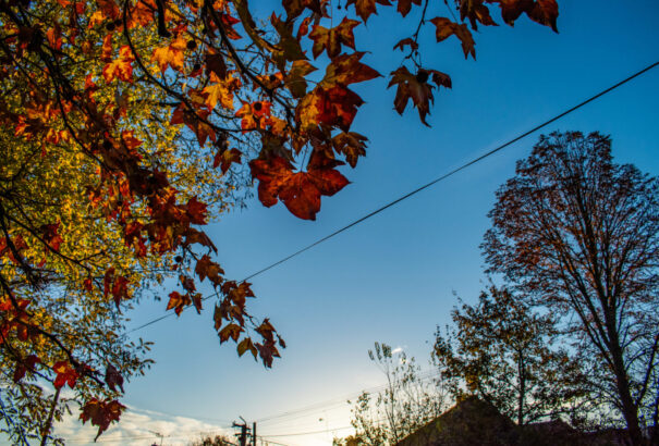 Itt az őszi napéjegyenlőség, beköszönt a csillagászati ősz