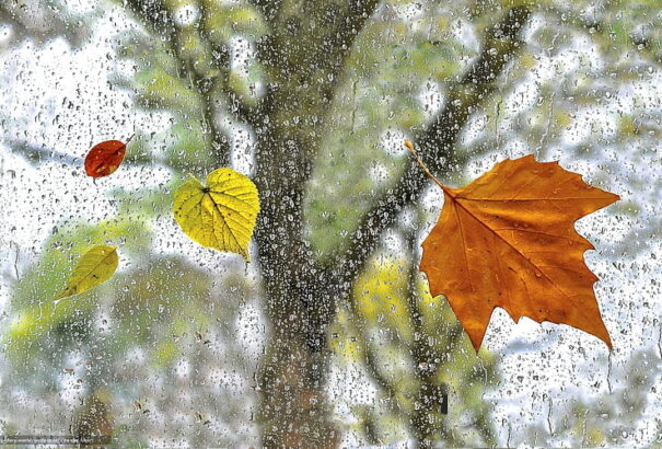 Nyugat felől megérkezik az eső