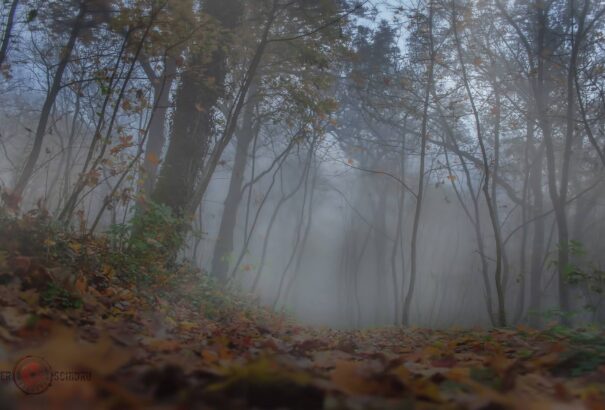 Vége a szeptemberi nyárnak. Erős széllel és esővel jön a hidegfront