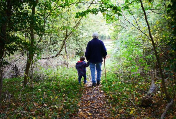 A koalíciós képviselők azt javasolják, a nyugdíjas nagyszülők is kaphassanak szülői támogatást unokájuk után