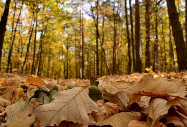 Napos, de kissé hűvös idő lesz szombaton