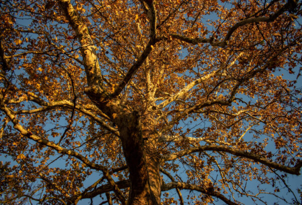 Az időjósok szerint a jövő hét elején akár 25 fok is lehet