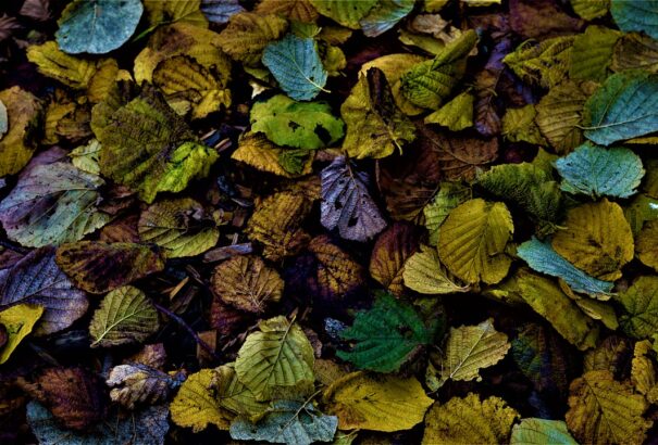 Felhős, borongós lesz a hét első napja