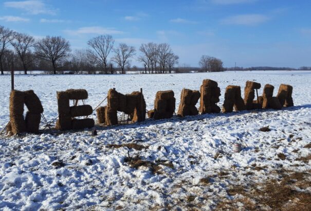 Brüsszelben is felfigyeltek a szlovákiai mezőgazdasági támogatásokkal zajló csalásokra