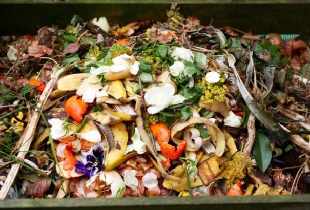 Évente fejenként 100-150 euró értékben dobunk ki lejárt szavatosságú élelmiszert Szlovákiában