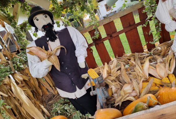 Őszi dekorációk a Dunaszerdahelyi járásban – Képes beszámoló