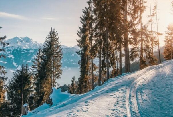 Figyelem! – Fogcsikorgató hidegre figyelmeztet a Szlovák Hidrometeorológiai Intézet