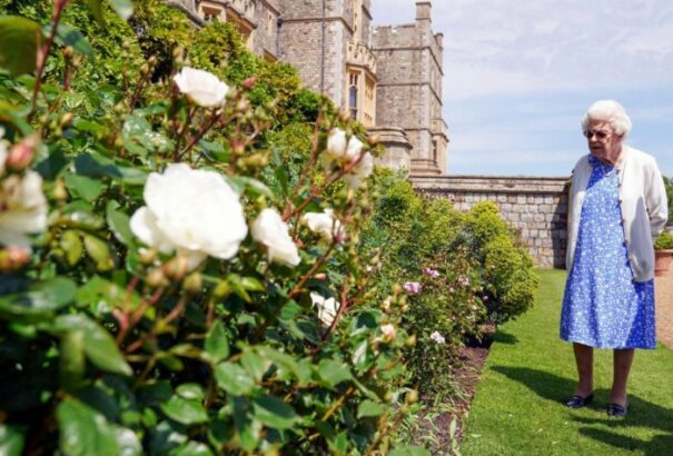 Kertész kerestetik II. Erzsébet windsori rezidenciájába