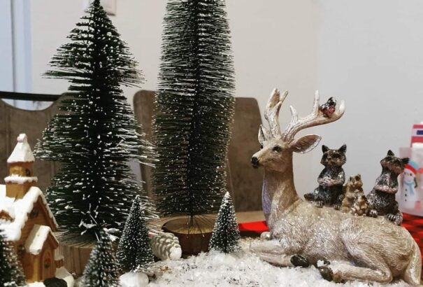 Továbbadni a gyermekként kapott karácsonyi csodát – beszélgetés Bukovská Klaudiával