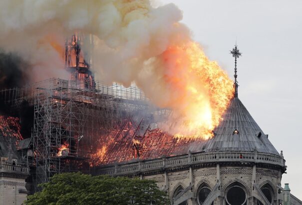 Ezer tölgyfával épül újjá a Notre-Dame