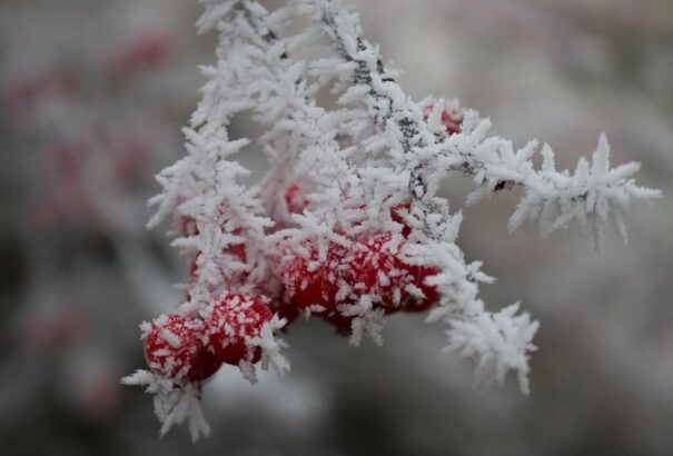 Napos, de fagyos lesz a szombat