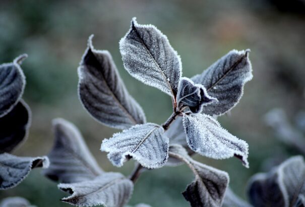 Szombatról vasárnapra virradóra érkeznek a kemény mínuszok