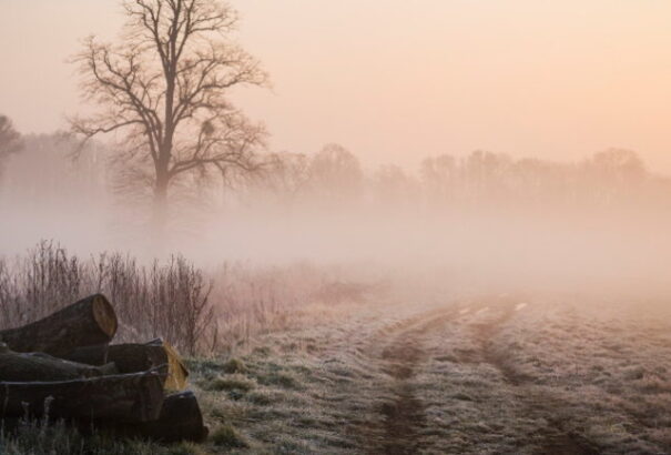 Esőre, ködszitálásra és havas esőre számíthatunk csütörtökön