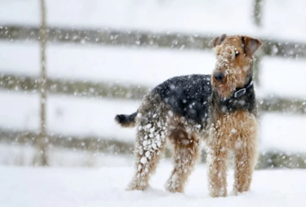 Időjárás-előrejelzés: Szürke, borult idő várható jövő héten, havazással és mínuszokkal
