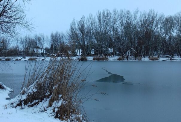 Petőfi Sándor születésnapján