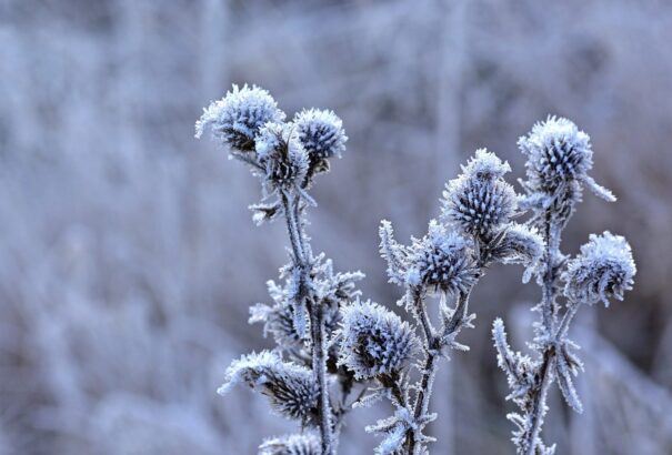 Mínusz 15 fokig süllyedhet a hőmérséklet éjszaka