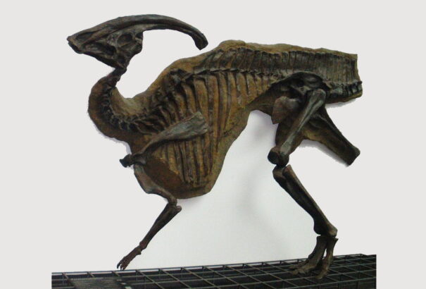 Mióta adnak hangot az állatok?