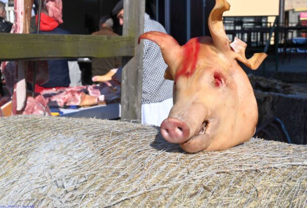 Újra volt farsangbúcsúztató Losoncon