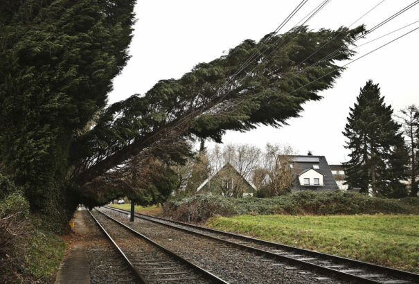 Kidőlt fák, letöredezett ágak, beázott pincék. Szinte az egész országot meggyötri a szélvihar
