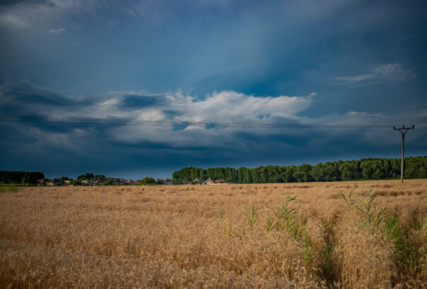Ellenőrizetlen élelmiszerdrágulásra figyelmeztet a Szlovák Agrárkamara. Globálissá vált a műtrágyahiány
