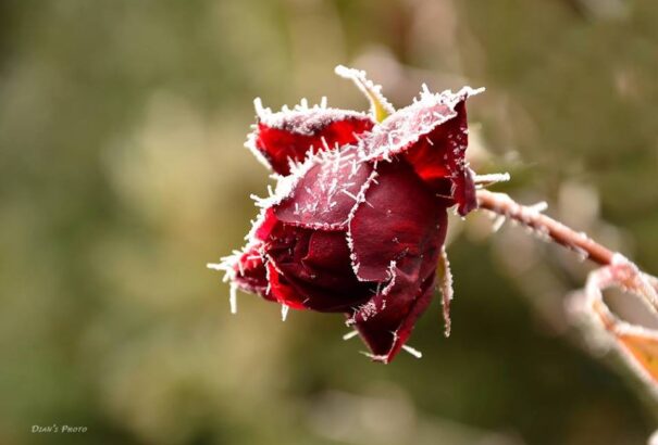 Hűvös, hózáporokkal tarkított idő várható a hét első napján