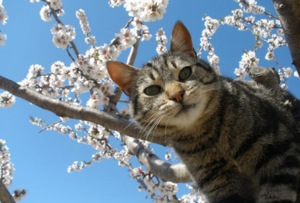 Záporokkal tarkított, szeles vasárnapunk lesz