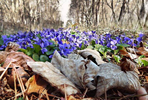 Napos, de hűvös idővel indul a hét