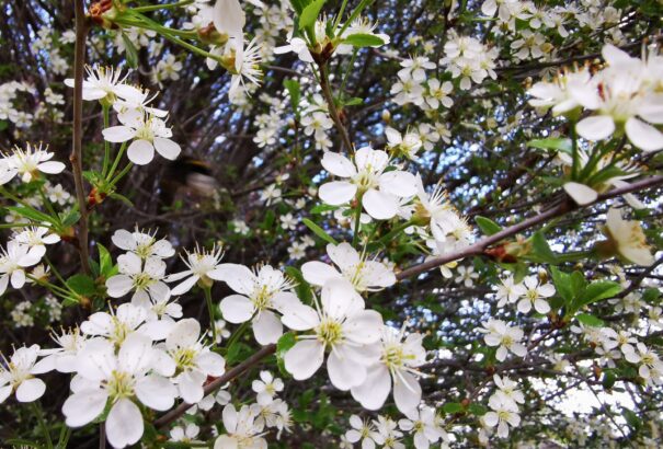 Kellemes idővel zárjuk a hetet